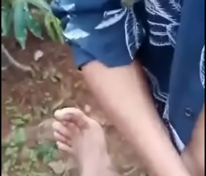 Forest Fun With Luscious Stw ~ A Jav Porn Video You Won't Be Able To Resist